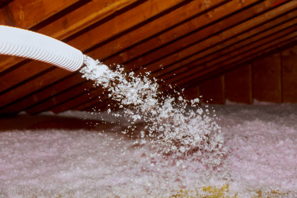 Best Residential Insulation Services  in Stratford, TX