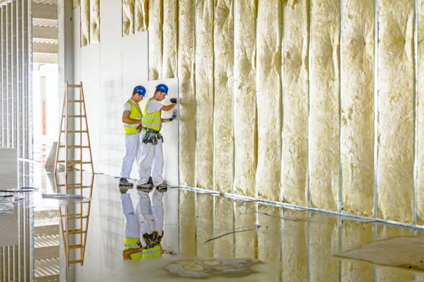 Best Insulation Repair Services  in Stratford, TX